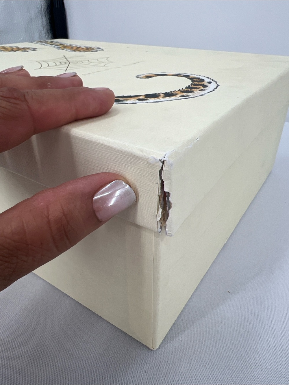 Charlotte Olympia EMPTY Shoe Box and Dust bags - Picture 7 of 9